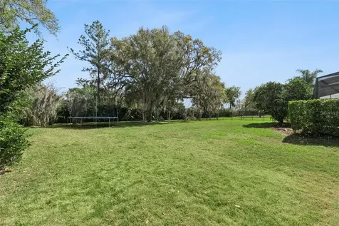 10033 Wittenberg Way Orlando FL 32832