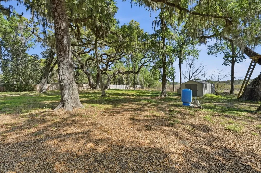 36104 Emeralda Avenue Leesburg FL 34788