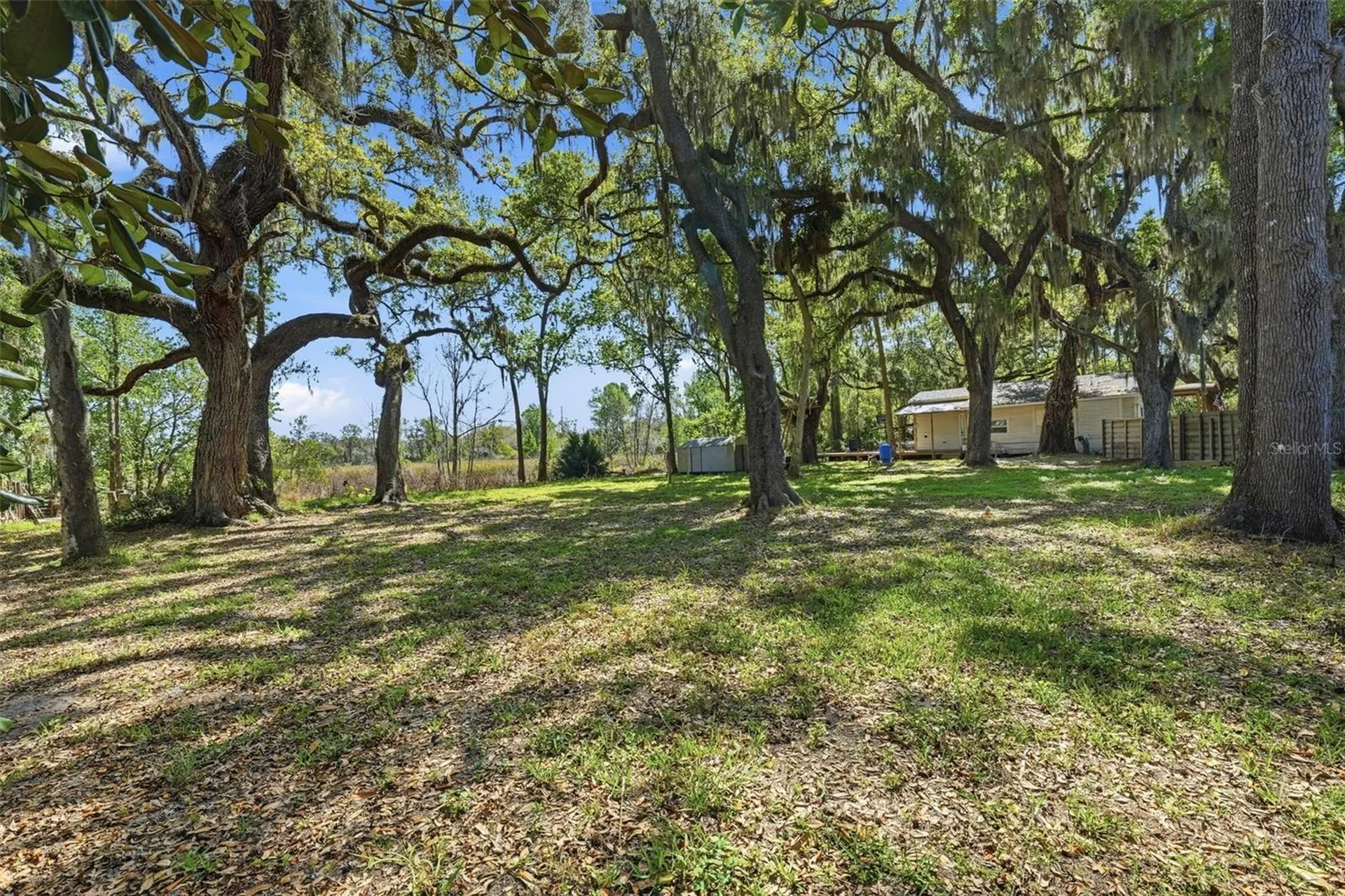 36104 Emeralda Avenue Leesburg FL 34788