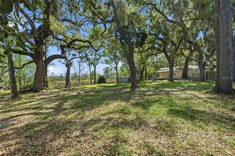 36104 Emeralda Avenue Leesburg FL 34788