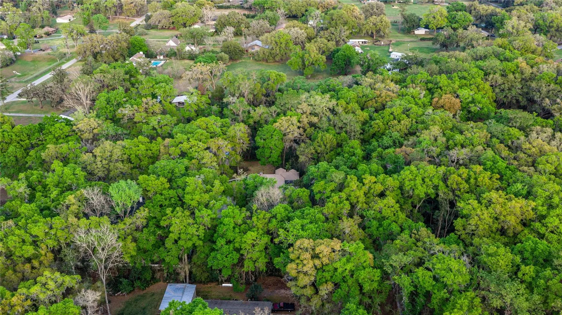 4280 SE 26th Terrace Road Ocala FL 34480