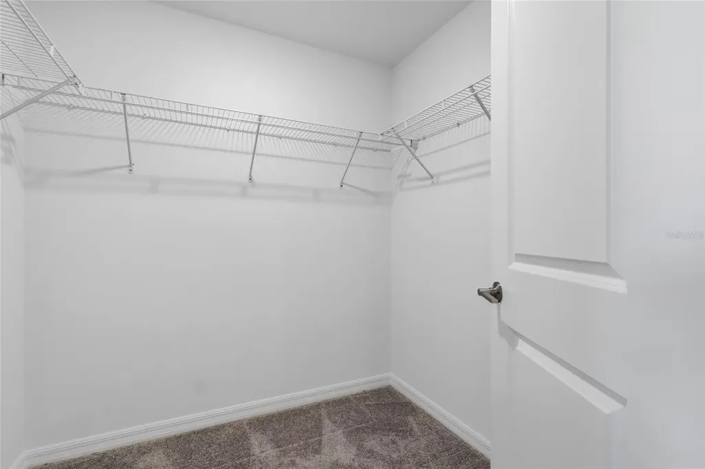32127 Powderpuff Mimosa Drive San Antonio FL 33576