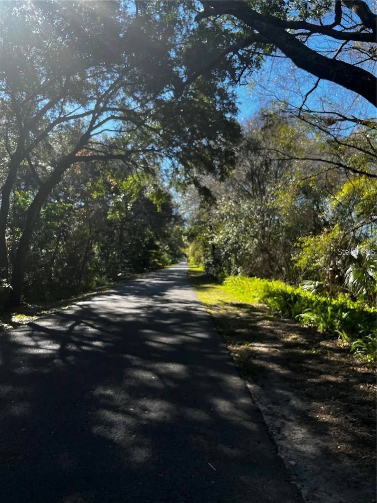 110 Skytrail Tampa FL 33625