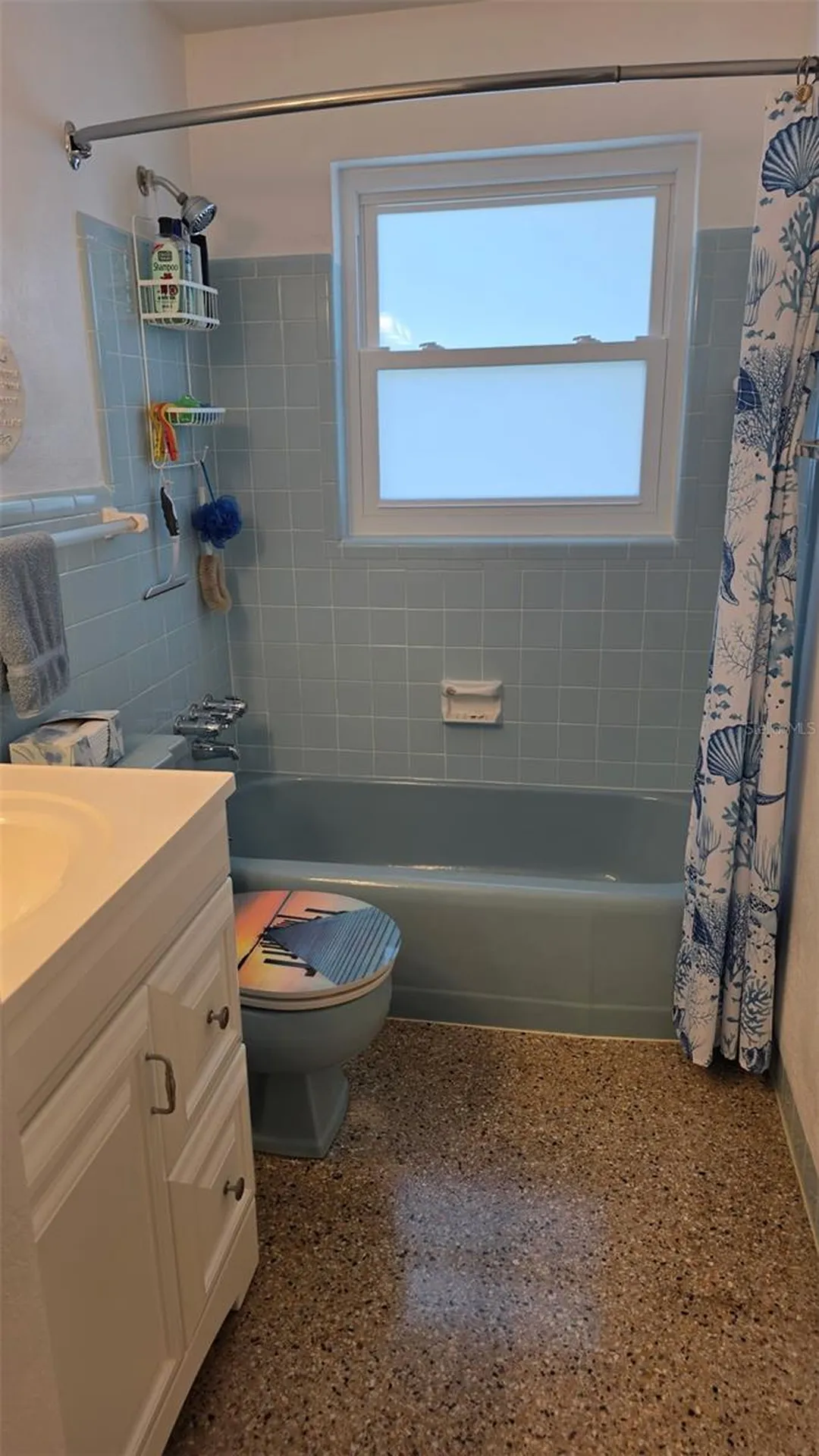 707 Jane Avenue New Smyrna Beach FL 32168