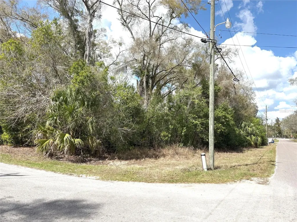 21249 Durden Road Dade City FL 33523