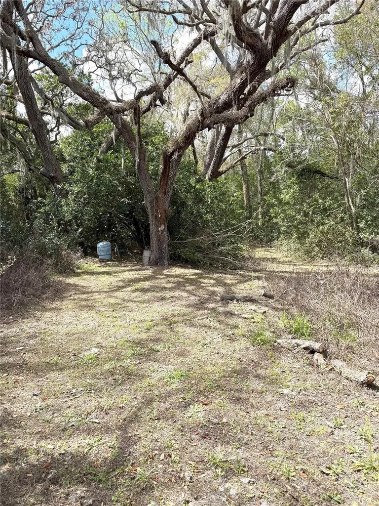 21249 Durden Road Dade City FL 33523