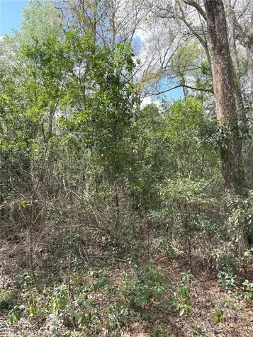 21249 Durden Road Dade City FL 33523