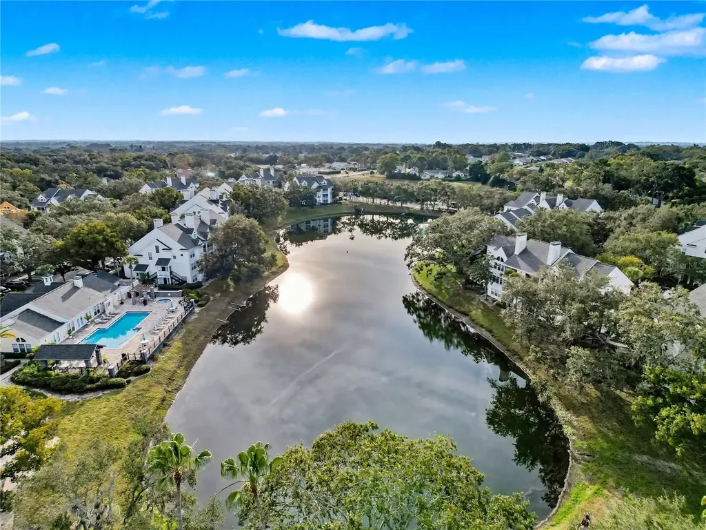 3313 Haviland Court Palm Harbor FL 34684