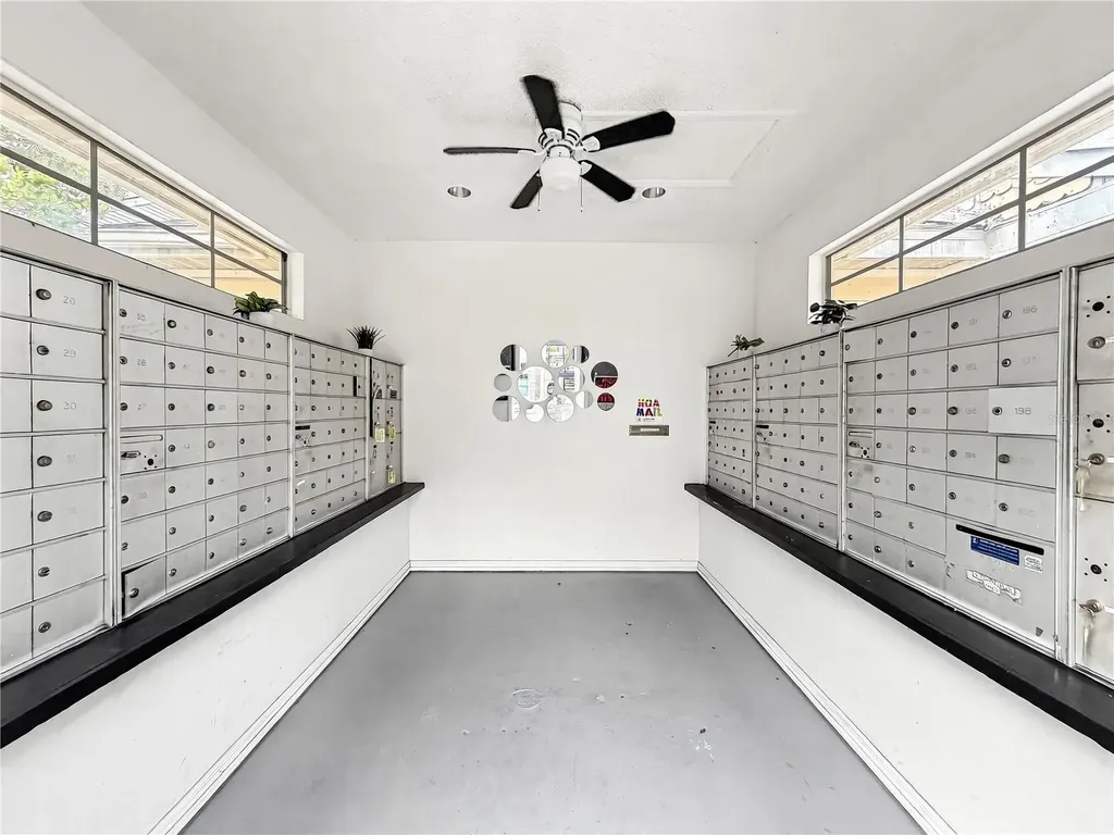 3313 Haviland Court Palm Harbor FL 34684