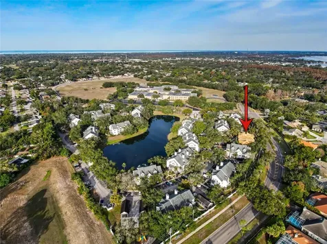3313 Haviland Court Palm Harbor FL 34684