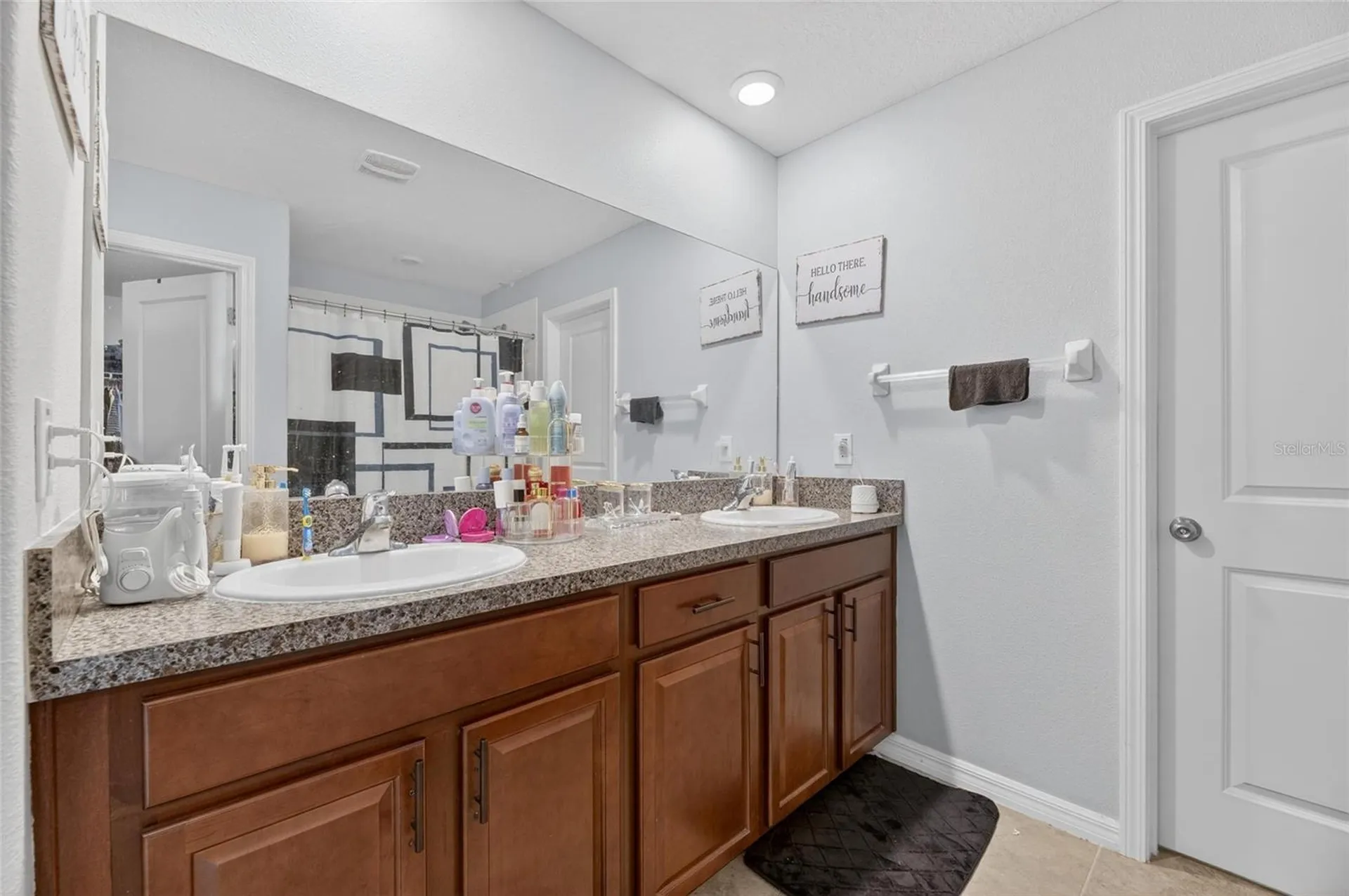10022 Rose Petal Place Riverview FL 33578