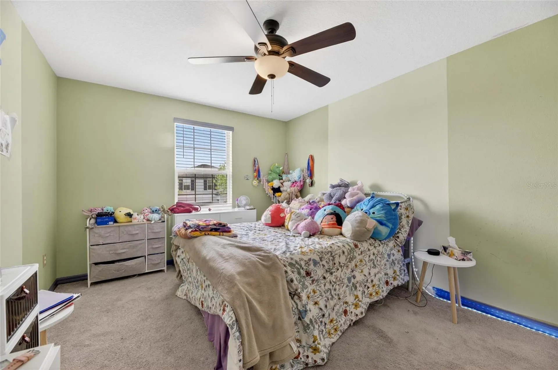 10022 Rose Petal Place Riverview FL 33578
