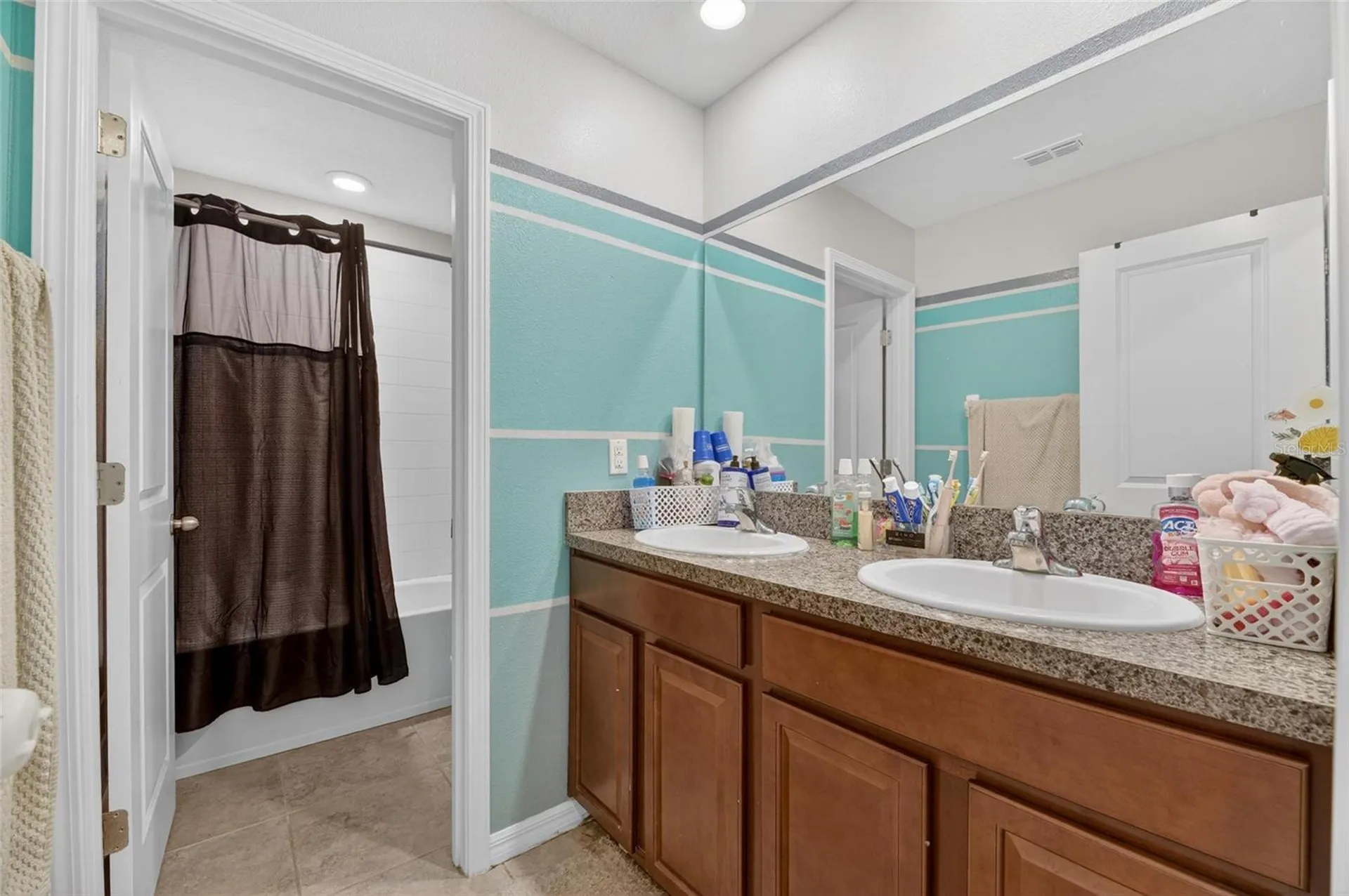 10022 Rose Petal Place Riverview FL 33578