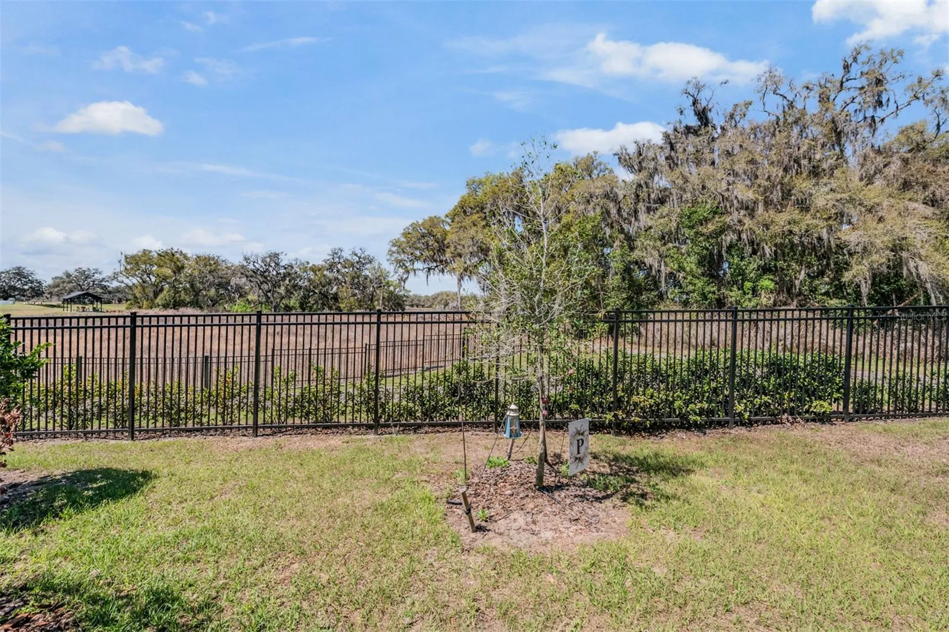 6787 Ripple Pond Loop Zephyrhills FL 33541
