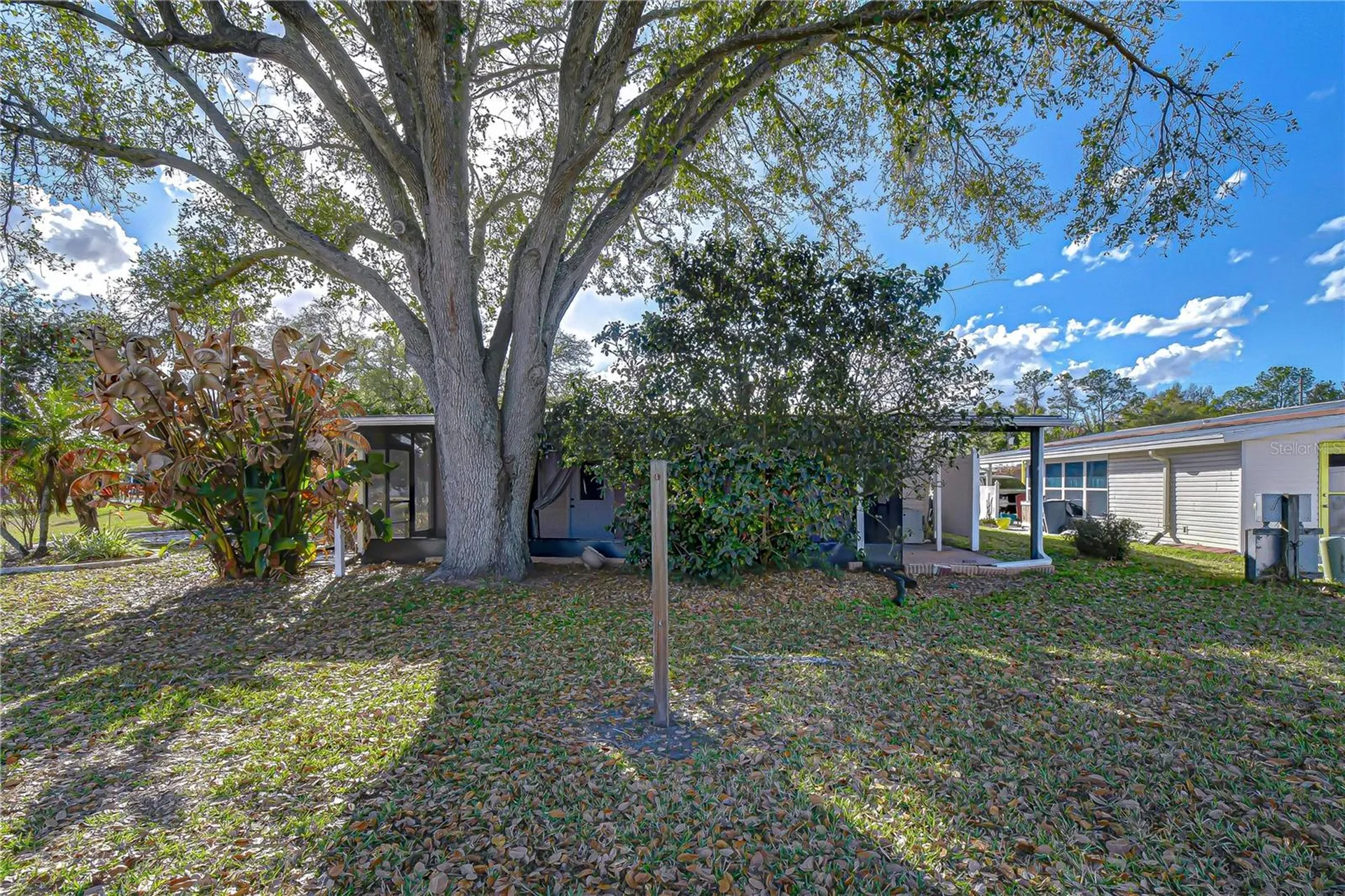 5438 Antigua Drive Zephyrhills FL 33541