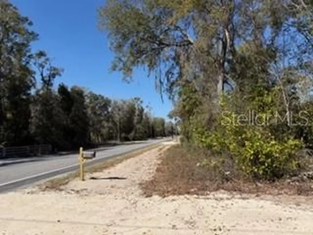 1668 NE 592nd Street Old Town FL 32680