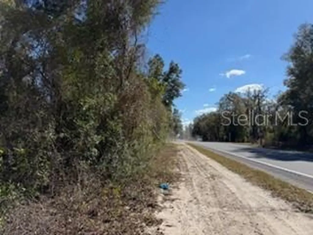 1668 NE 592nd Street Old Town FL 32680