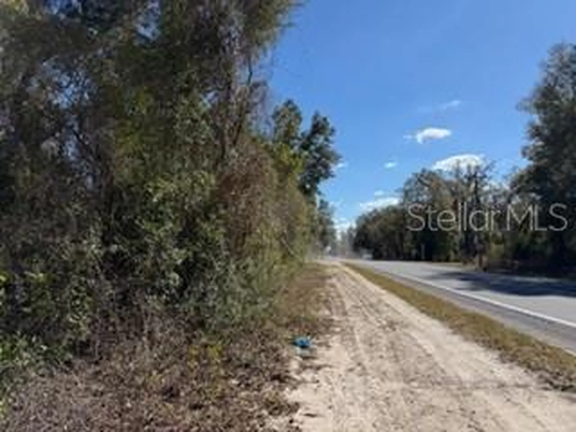 1668 NE 592nd Street Old Town FL 32680