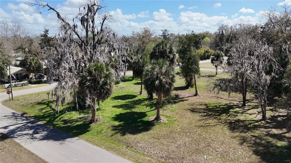 Tbd SW Houston Avenue Branford FL 32008