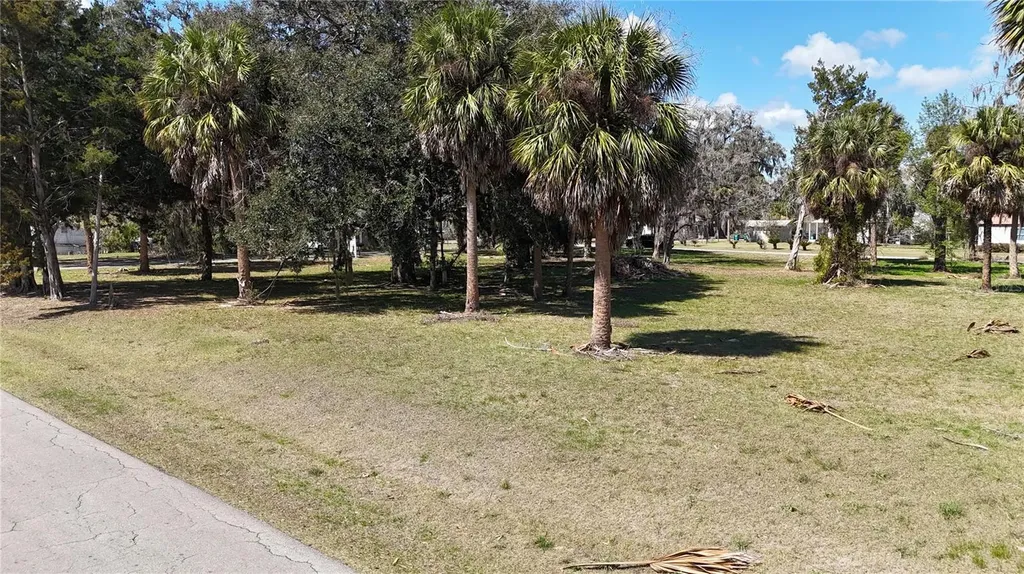 Tbd SW Houston Avenue Branford FL 32008