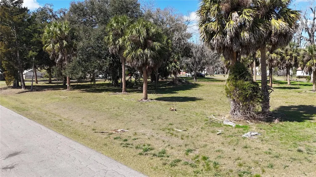 Tbd SW Houston Avenue Branford FL 32008