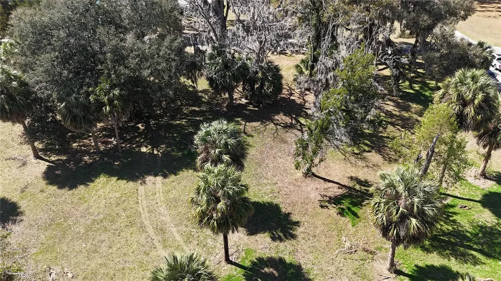 Tbd SW Houston Avenue Branford FL 32008