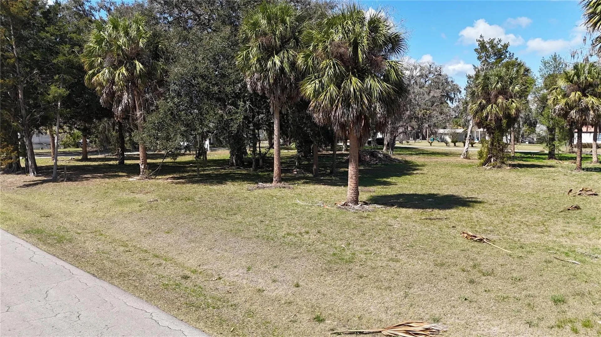 Tbd SW Houston Avenue Branford FL 32008