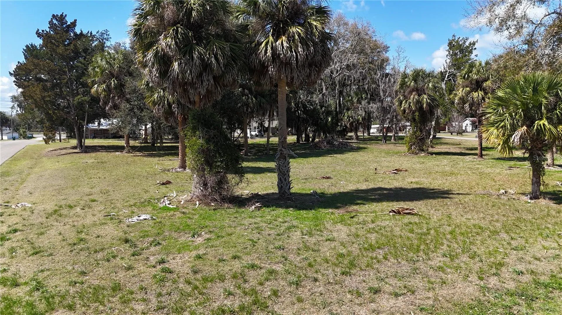 Tbd SW Houston Avenue Branford FL 32008