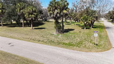 Tbd SW Houston Avenue Branford FL 32008