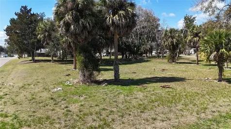Tbd SW Houston Avenue Branford FL 32008