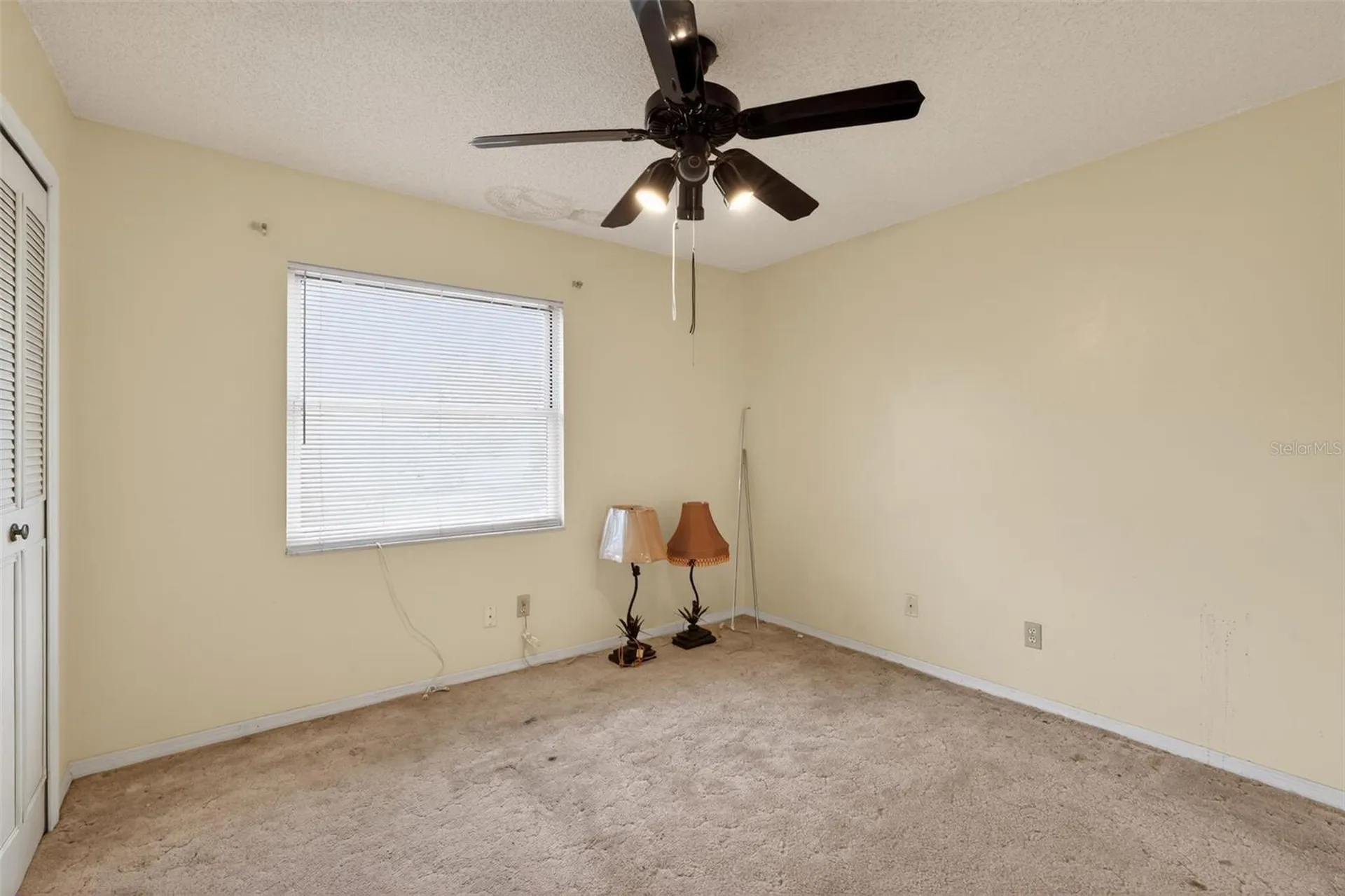 3101 Elderwood Place Seffner FL 33584