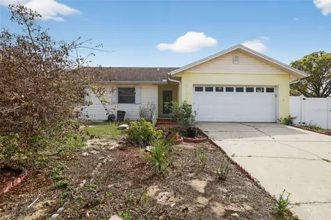 3101 Elderwood Place Seffner FL 33584