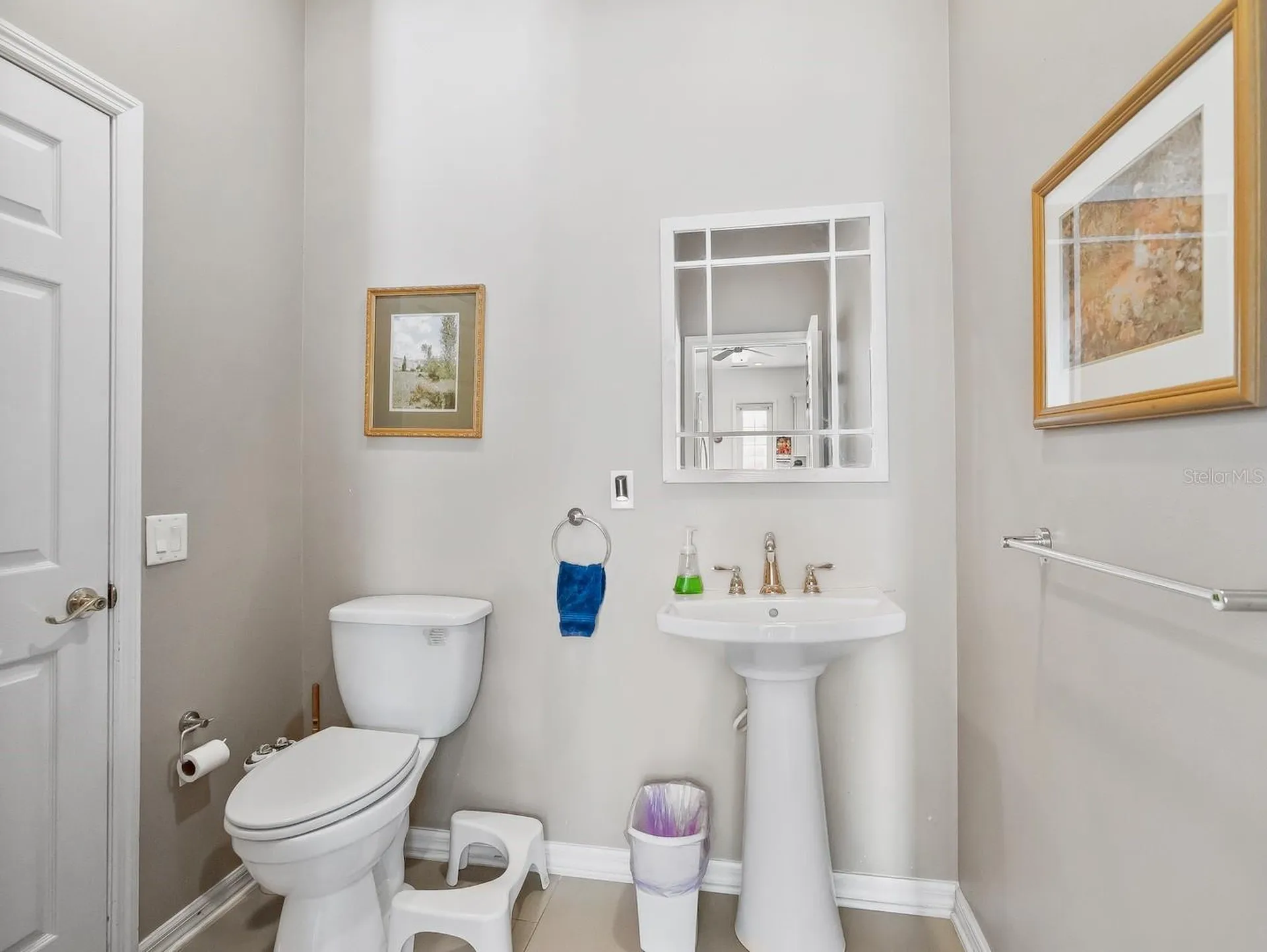 39407 Treeline Drive Lady Lake FL 32159