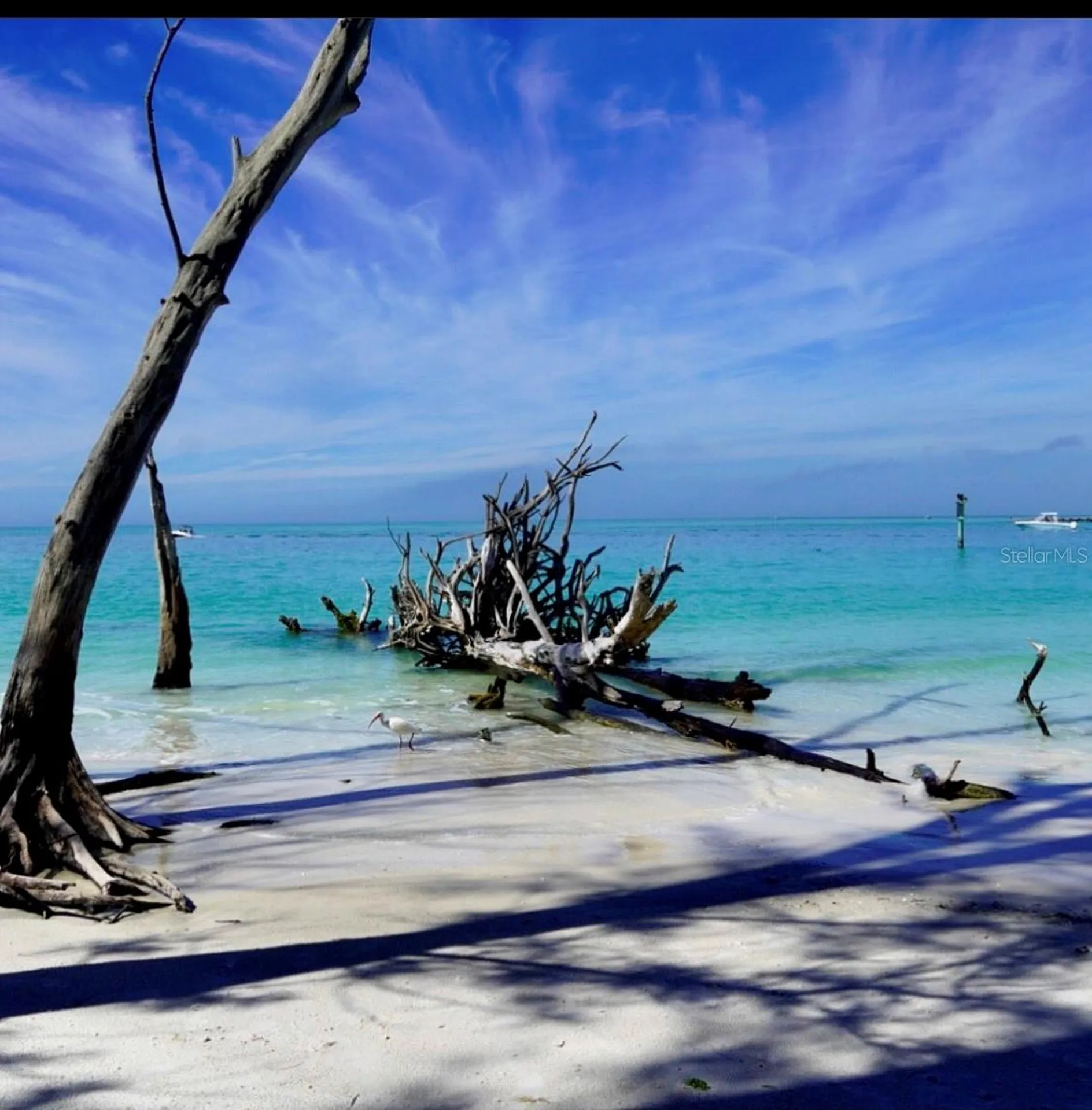 6750 Gulf Of Mexico Drive Longboat Key FL 34228
