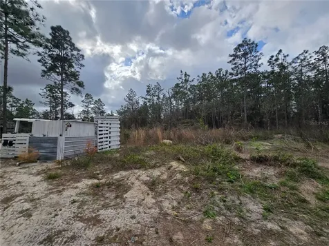 0000 SE 128th Avenue Dunnellon FL 34431