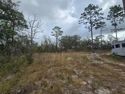 0000 SE 128th Avenue Dunnellon FL 34431