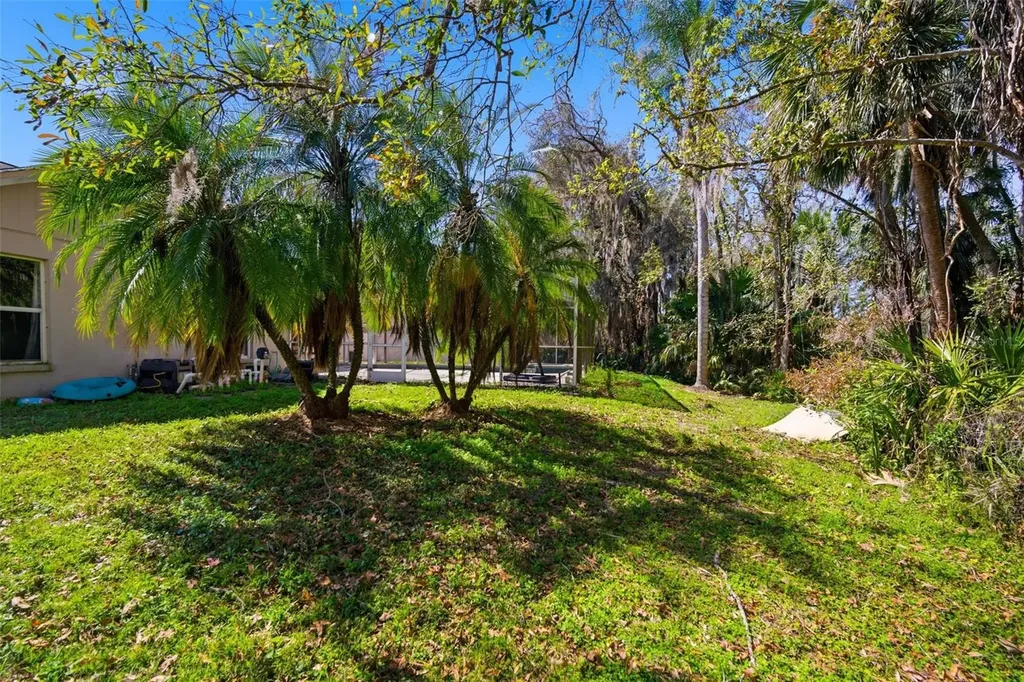28427 Openfield Loop Wesley Chapel FL 33543