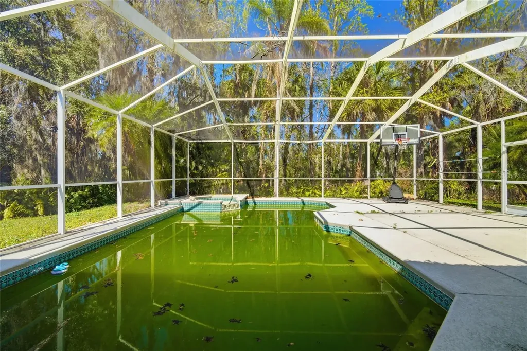 28427 Openfield Loop Wesley Chapel FL 33543