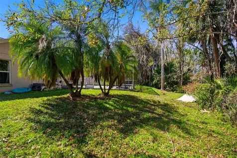 28427 Openfield Loop Wesley Chapel FL 33543