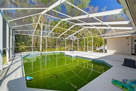 28427 Openfield Loop Wesley Chapel FL 33543