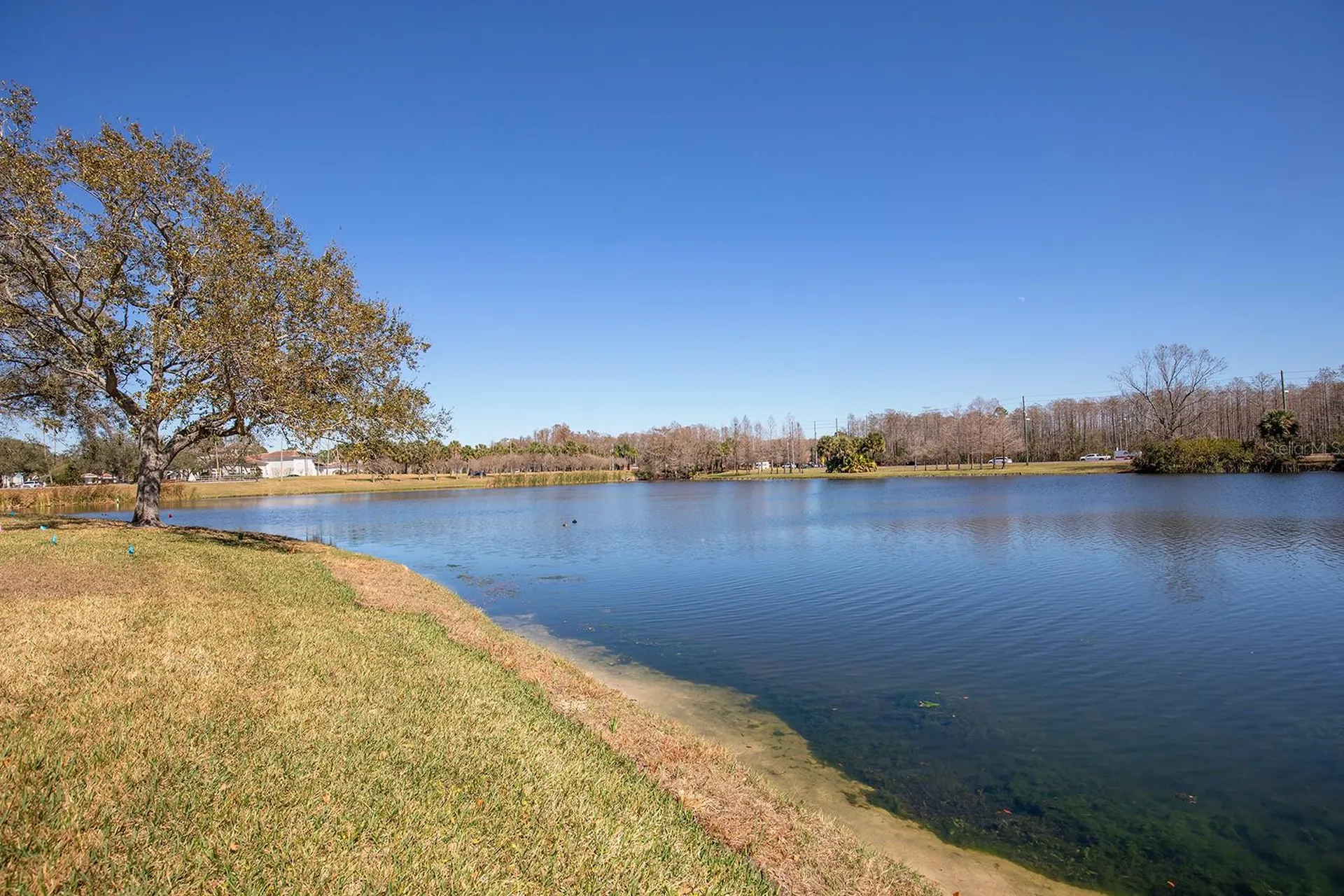 2015 Reston Road Orlando FL 32837