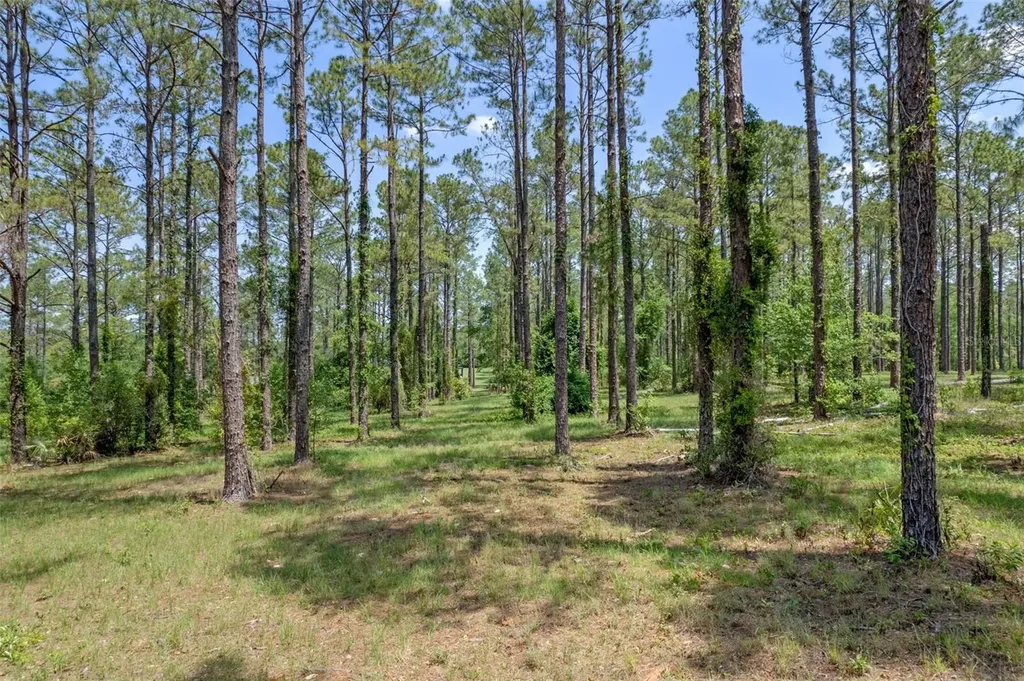35408 Pinegate Trail Eustis FL 32736