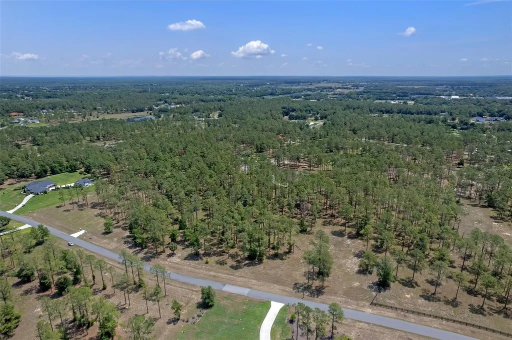 35408 Pinegate Trail Eustis FL 32736