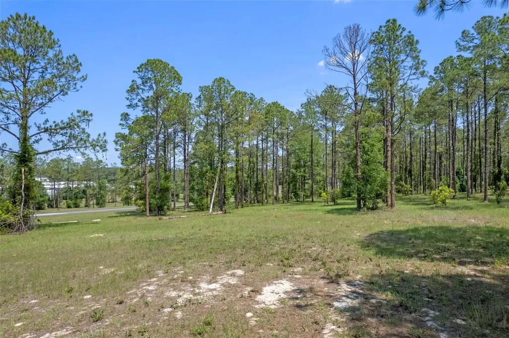 35408 Pinegate Trail Eustis FL 32736