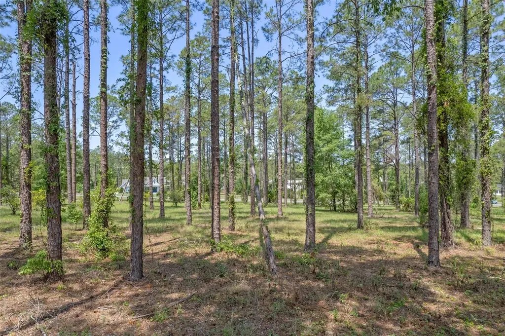 35408 Pinegate Trail Eustis FL 32736