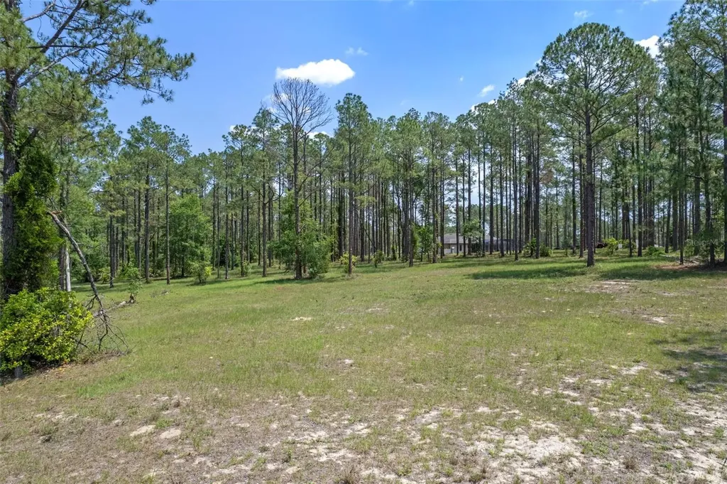 35408 Pinegate Trail Eustis FL 32736
