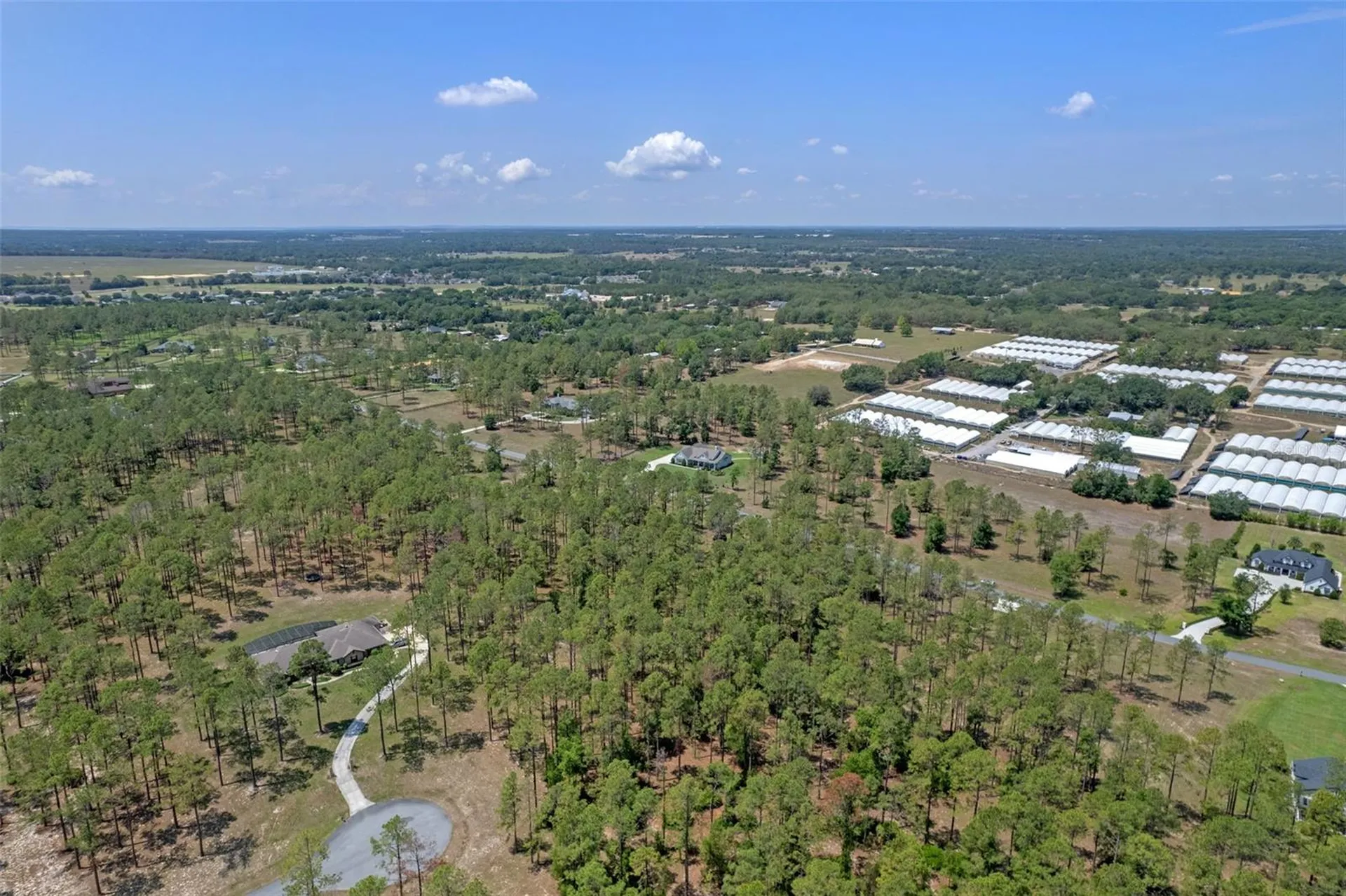 35408 Pinegate Trail Eustis FL 32736