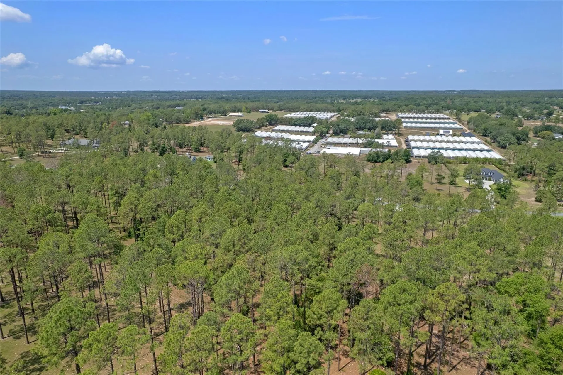 35408 Pinegate Trail Eustis FL 32736