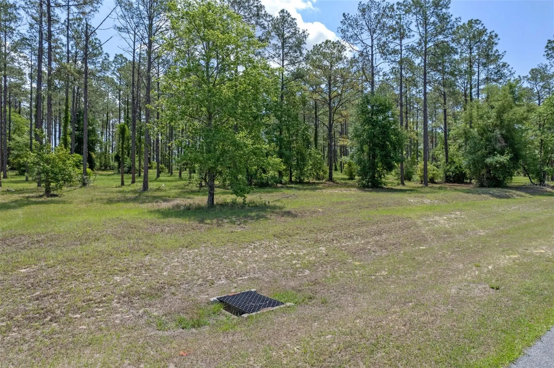 35408 Pinegate Trail Eustis FL 32736