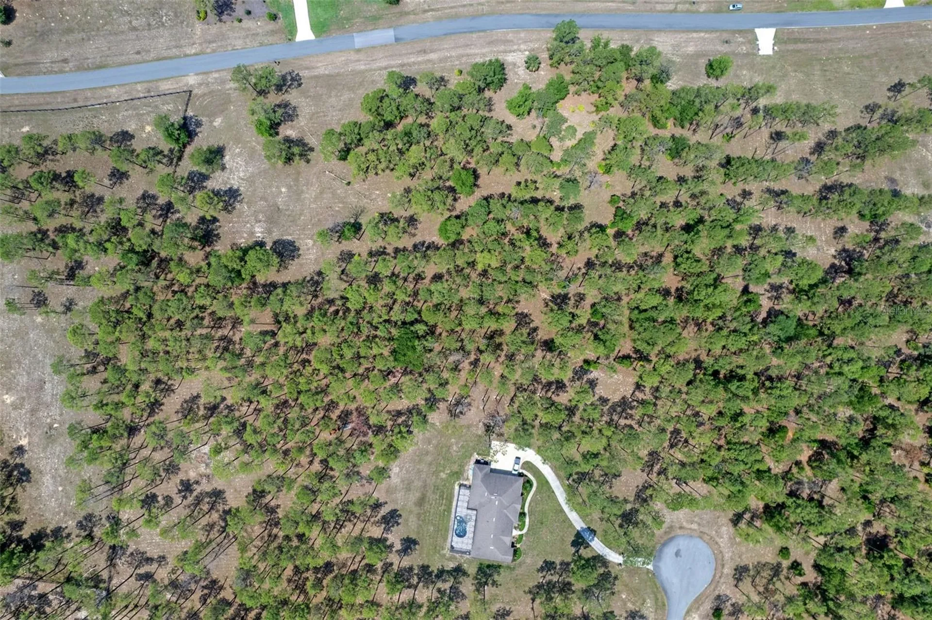 35408 Pinegate Trail Eustis FL 32736